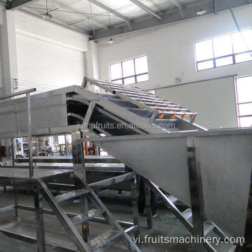 Nhà máy phân loại chanh mahcine